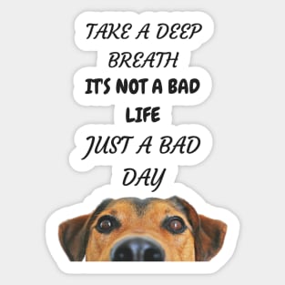 DOG - NOT A BAD LIFE JUST A BAD DAY Sticker